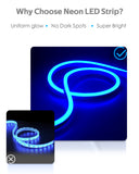 ALITOVE Blue Neon Rope Lights 82ft Waterproof LED Strip Lights 25M 120LEDs/M - ALITOVE-Add Vivid Color to Life