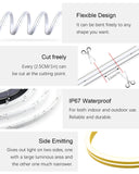 Warm White Rope Light