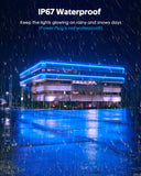 Indoor Neon Lights