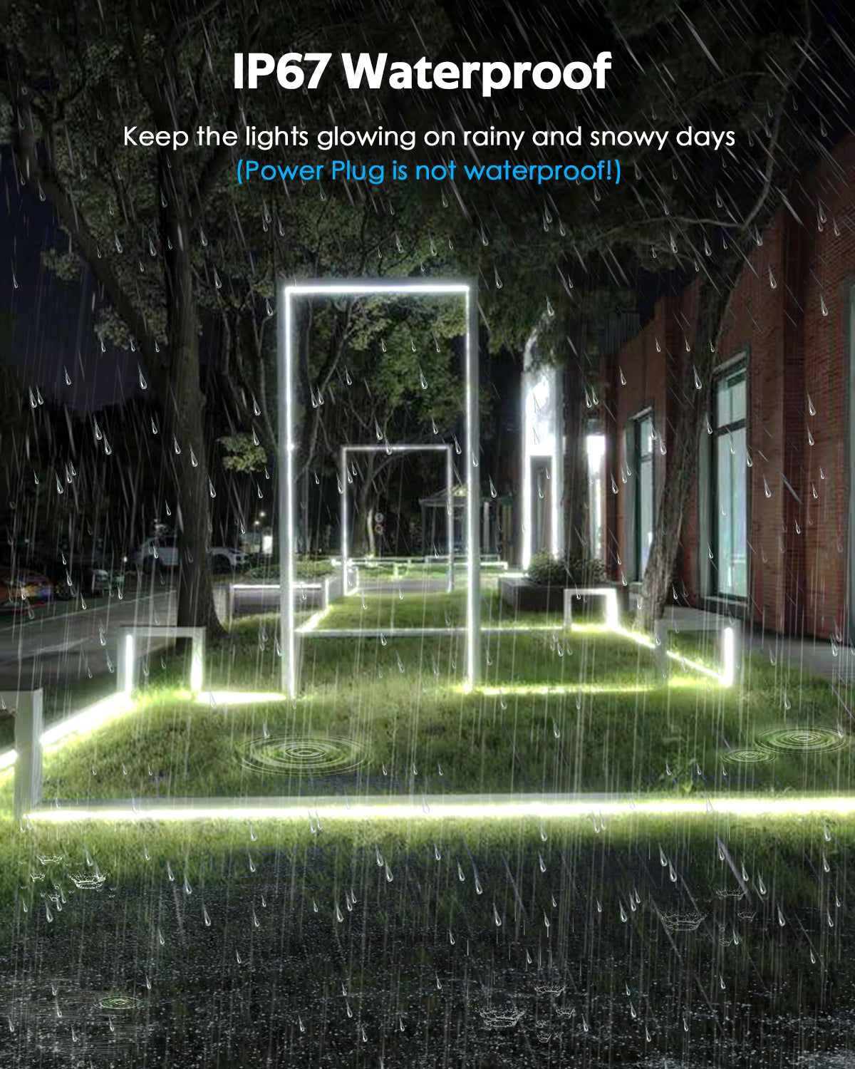 LED Neon Rope Lights