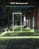 LED Neon Rope Lights