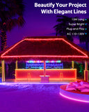 Multicolor LED Lights