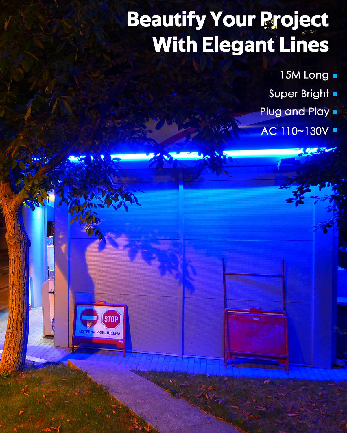 Blue Neon Rope Lights