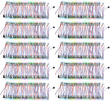 ALITOVE WS2811 12mm Diffused Digital RGB LED Pixel Modules - Set of 50, Waterproof for Vibrant Lighting Displays - ALITOVE-Add Vivid Color to Life