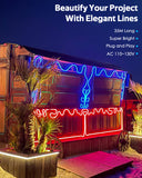 Neon Rope Lights