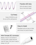 Neon LED Lights Strip