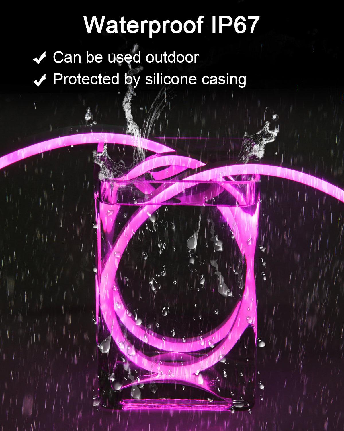 Neon LED Lights Strip