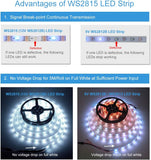 ALITOVE 12V WS2815 LED Strip Individually Addressable Dual Signal 4pin RGB LED Strip Lights Outdoor 150 Pixels 16.4ft Waterproof IP67, Replacement for WS2812B WS2811 SK6812(No Power & Controller) - ALITOVE-Add Vivid Color to Life