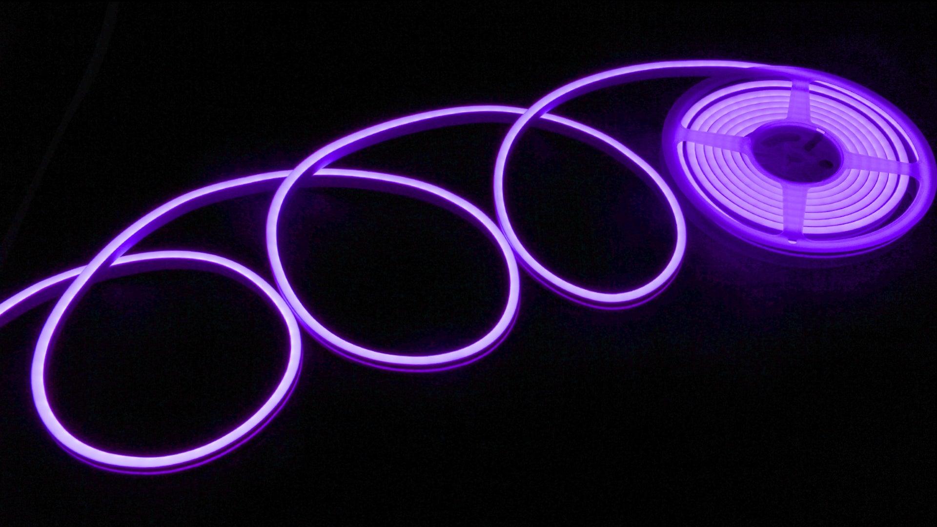 Neon Purple Light